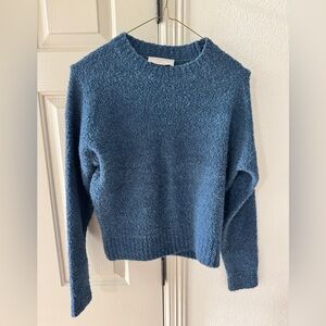 Everlane Sweater Teddy Crew Neck in Blue Lagoon